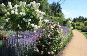 Blumenhalle
